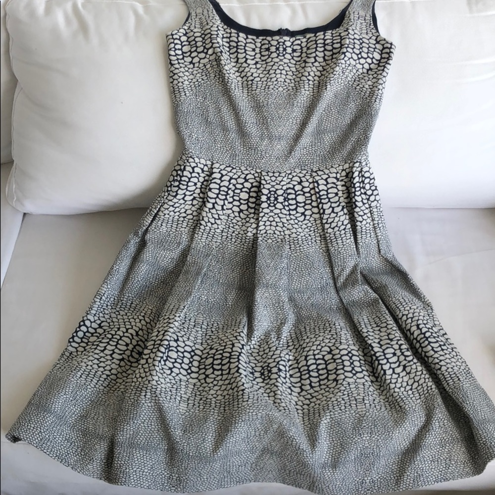 Issa dress